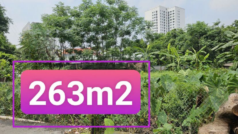 Bán đất tại băng 2 đường tôn đức thắng, vĩnh yên, dt 263m2, 7247282