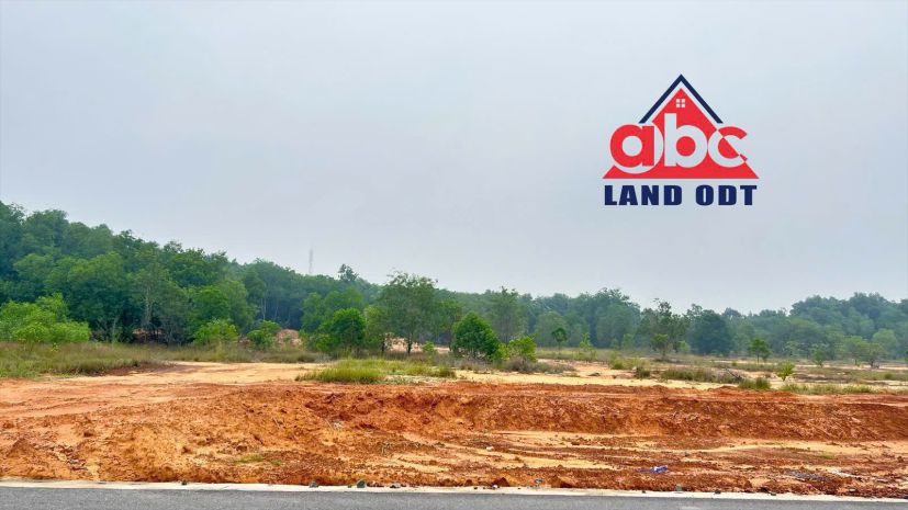 D344 chuyển nhượng đất hạ tầng kcn, thu hút nhiều cty dn 7247542