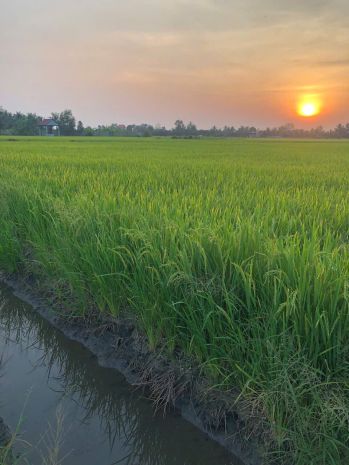 Hot hot - cần bán lô đất tại xã tân nhựt,  bình chánh, hcm 7251039