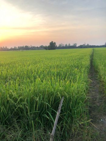 Hot hot - cần bán lô đất tại xã tân nhựt,  bình chánh, hcm 7251040