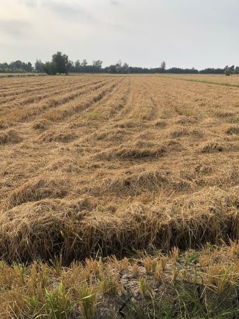 Hot hot - cần bán lô đất tại xã tân nhựt,  bình chánh, hcm 7251041