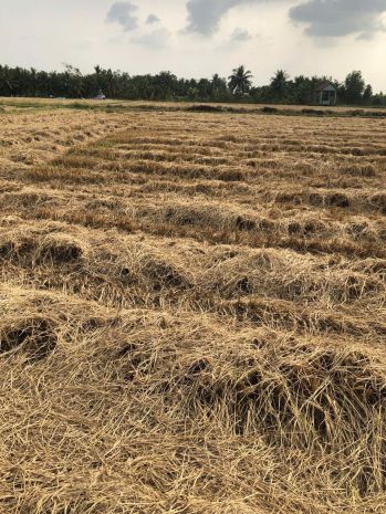 Hot hot - cần bán lô đất tại xã tân nhựt,  bình chánh, hcm 7251043