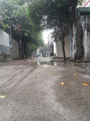 Bán đất 2 lô đất f0  tặng dãy trọ  mặt tiền đường 7m 7252139