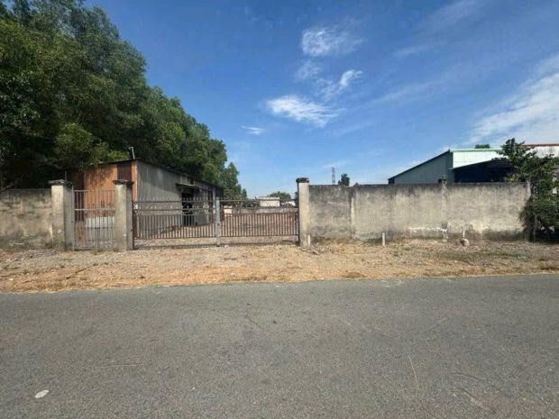 Đất mt đường 489 phạm văn cội, củ chi - ngang 25m  nở hậu 7253996