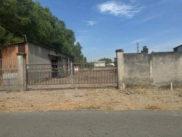 Đất mt đường 489 phạm văn cội, củ chi - ngang 25m  nở hậu 7253997