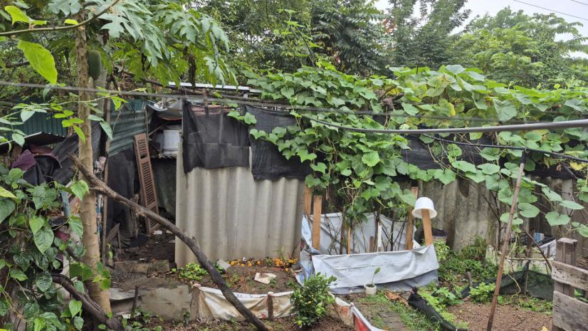 Cần bán mảnh đất sen kẹt gần đường ngọc hồi  xã thanh trì, 7254166