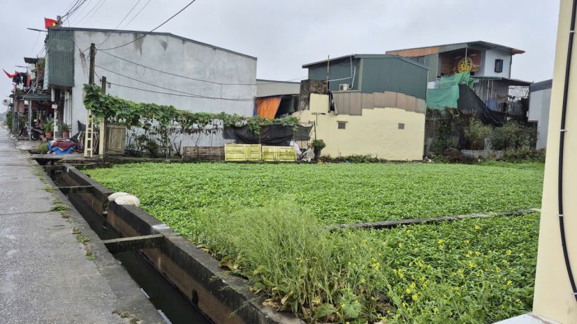 Bán lô đất 70m²  gần đường phan trọng tuệ, ngọc hồi  xã 7254171