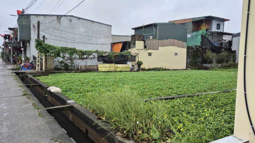 Bán lô đất 70m²  gần đường phan trọng tuệ, ngọc hồi  xã 7254172