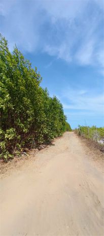 Đất đẹp -  giá tốt  - cần bán gấp lô đất trồng cây lâu năm 7255450