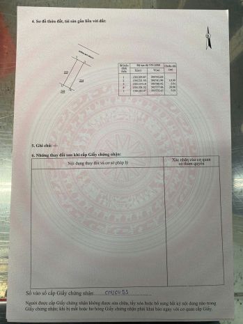 Cho thuê 3 lô đất lâu dài  trung tâm phường ninh hiệp, 7256858