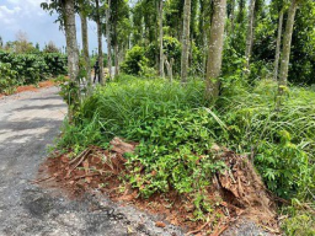 Bán đất nông nghiệp 3 mặt tiền  vị trí đẹp gần hồ kim 7258885