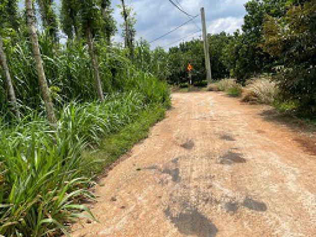 Bán đất nông nghiệp 3 mặt tiền  vị trí đẹp gần hồ kim 7258886