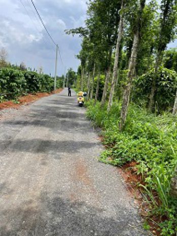 Bán đất nông nghiệp 3 mặt tiền  vị trí đẹp gần hồ kim 7258887