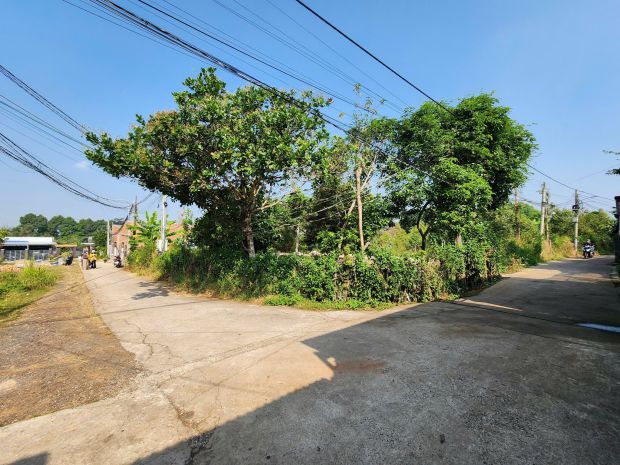 Nền thổ cư, sổ riêng, nở hậu  gần cầu dầu glamping, p hàng 7259784