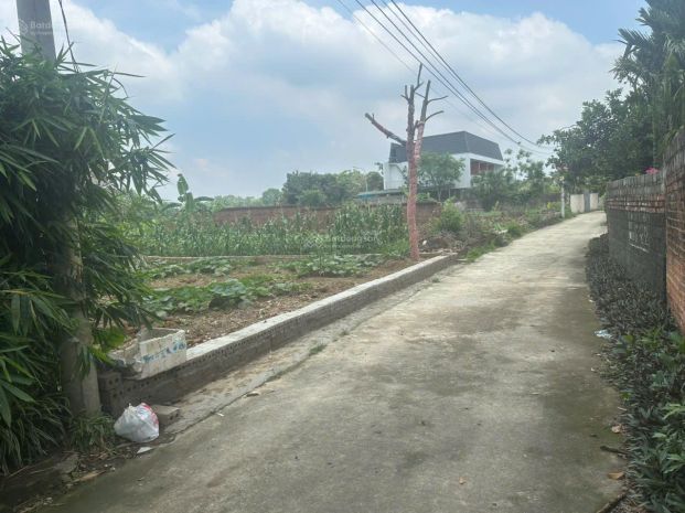 Chính chủ bán đất đầu ngõ thiên mã, cổ đông, sơn tây 360m², 7260616