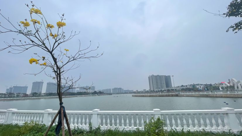 Chính chủ cần bán nhà 3 tầng mặt phố ngô xuân quảng  gia 7260855