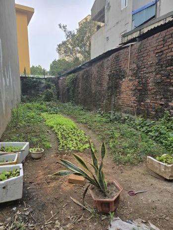 Bán gấp đất thổ cư ô cách - long biên - 61.5m2 7261310