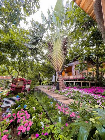 Cho thuê villa sân vườn 700m2 đèo prenn đà lạt giá thuê 26 7264068