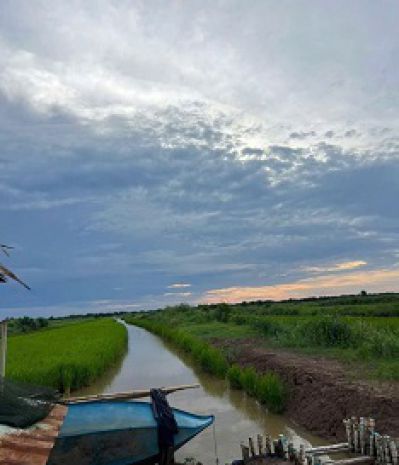 Chính chủ cần bán 2,6 mẫu đất ruộng nuôi quảng canh xen lúa 7264598