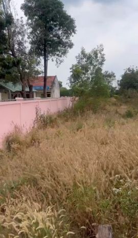 Đất đẹp chính chủ  cần bán tại ấp 3, xã thanh hòa, huyện 7265754