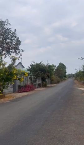 Đất đẹp chính chủ  cần bán tại ấp 3, xã thanh hòa, huyện 7265756