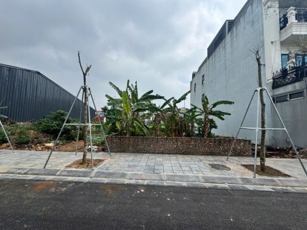 Bán đất kinh doanh 114m2 làn 2 biệt thự nguyên khê giá hơn 7269028