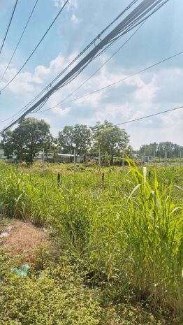 Bán nhanh đất, mặt tiền tỉnh lộ 15,an nhơn tây, củ chi 7271544