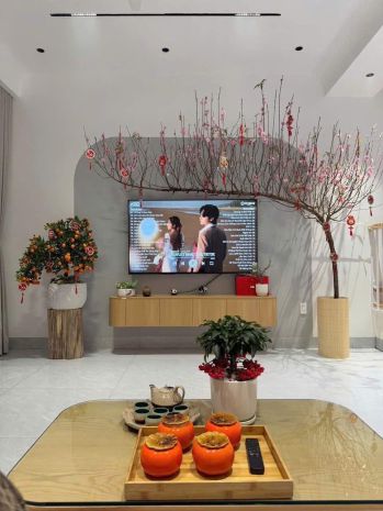 **bán nhà mặt tiền thiên phước, phường 9, tân bình 4*15 3 7271670