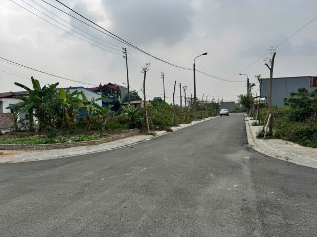 Bán đất đấu giá x3  80m2  gần đăng kiểm phúc thịnh  mặt 7271693