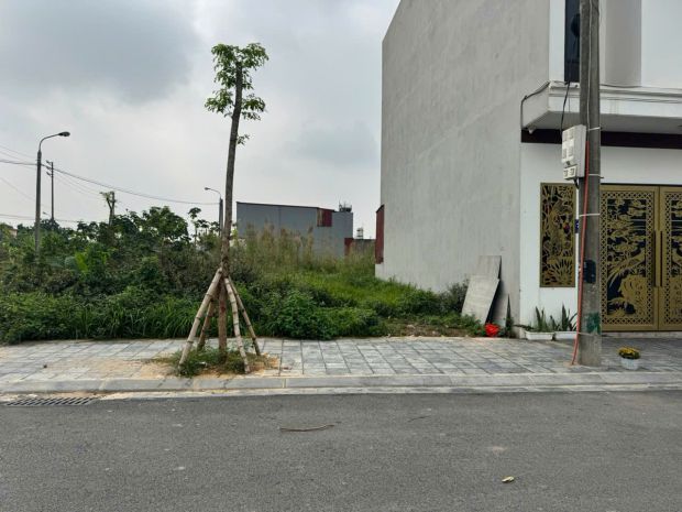 Bán đất đấu giá x3  80m2  gần đăng kiểm phúc thịnh  mặt 7271694