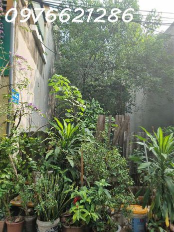 Bán đất thượng thanh  66m²  phân lô  ô tô tải tránh 7271857