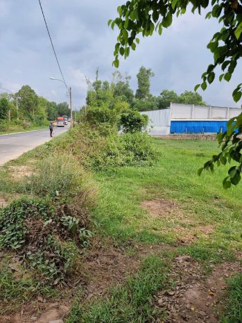 Bán gấp đất mặt tiền  kênh 5 bình lợi bình chánh 1.5ha, giá 7273918