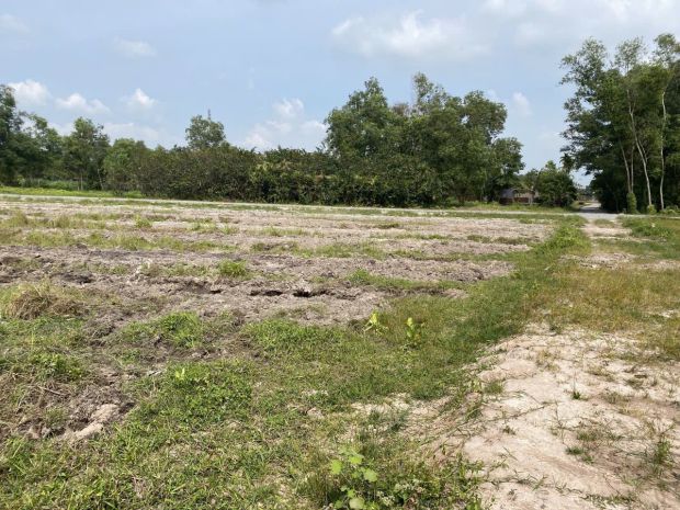 Đất mặt tiền hưng long quy đức, bình chánh 6000m2, giá 35 tỷ 7274499