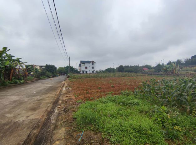 Quỹ đất đẹp trung tâm hòa lạc  sản phẩm dành riêng cho nhà 7275146