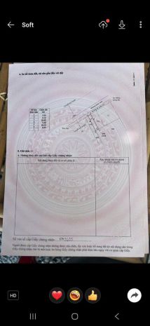 Bán 1 cặp song sinh trung tâm xã bình khánh, cần gio tp hcm 7276599