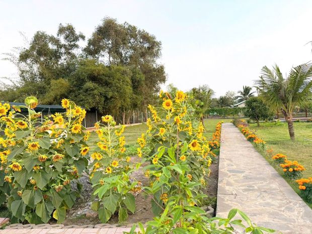 Cân ban 2200m2 nha vươn nghi dương hem xe hơi tơi 7278653