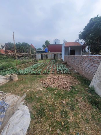 Đất đẹp - giá tốt - vị trí đắc địa tại tam thuấn - phúc thọ 7281212