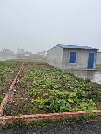 Lô đất 95m2 minh tân kiến thụy - ngõ rộng 5m bám sát ga 7283277