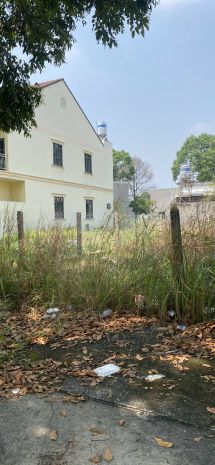 Đất đẹp  giá tốt   chính chủ cần bán tại đường d9, phường 7285884