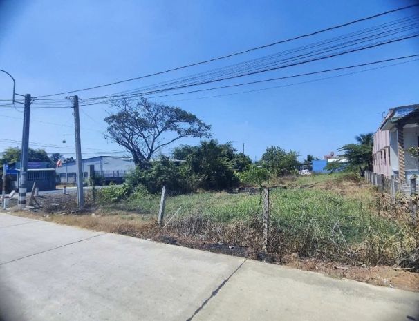 Bán đất nông nghiệp  đường bờ chùa, xã phước lý, huyện cần 7286865