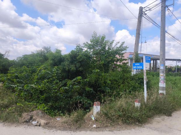 Bán đất nông nghiệp  đường bờ chùa, xã phước lý, huyện cần 7286866