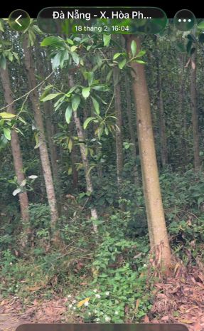 Đất đẹp  giá tốt   chính chủ cần bán gấp tại  xã hòa 7287035