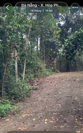 Đất đẹp  giá tốt   chính chủ cần bán gấp tại  xã hòa 7287036