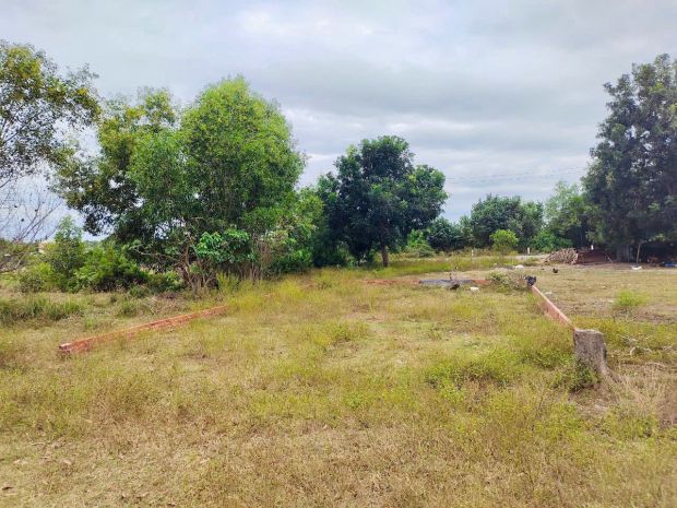 Lộc án đất biển tiềm nang 7290346