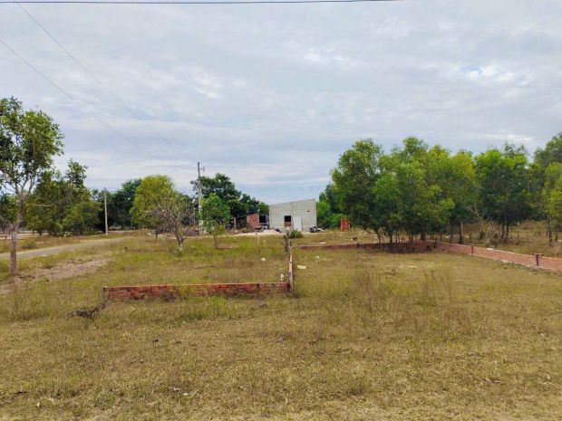 Lộc án đất biển tiềm nang 7290347