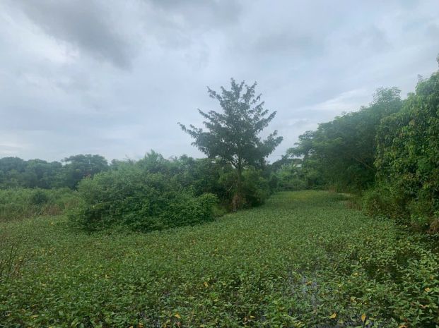 Đất đẹp - đầu tư sinh lời - bán đất vườn mặt tiền tl941 7290465