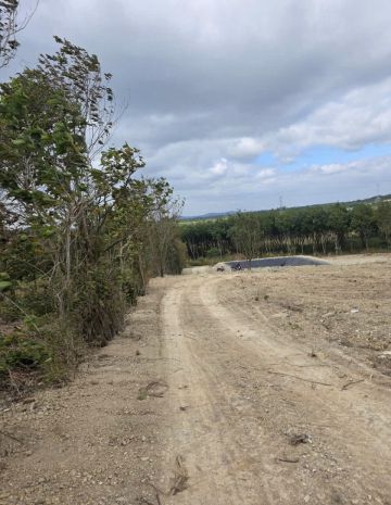 Cần bán 1ha đất trống có nhà, điện, giếng, ao, tp bmt 7292904