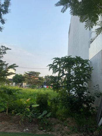 Đất đẹp  giá tốt   chính chủ cần bán gấp tại  xã phong 7292930