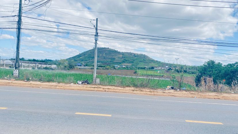 3 héc ta mặt tiền dt724, phú hội cũ, đức trọng, lâm đồng 7293549