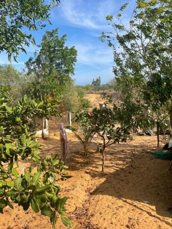 Hàng hiếm cần bán gấp 510m2 đất kề võ nguyên giáp, mũi né 7294370